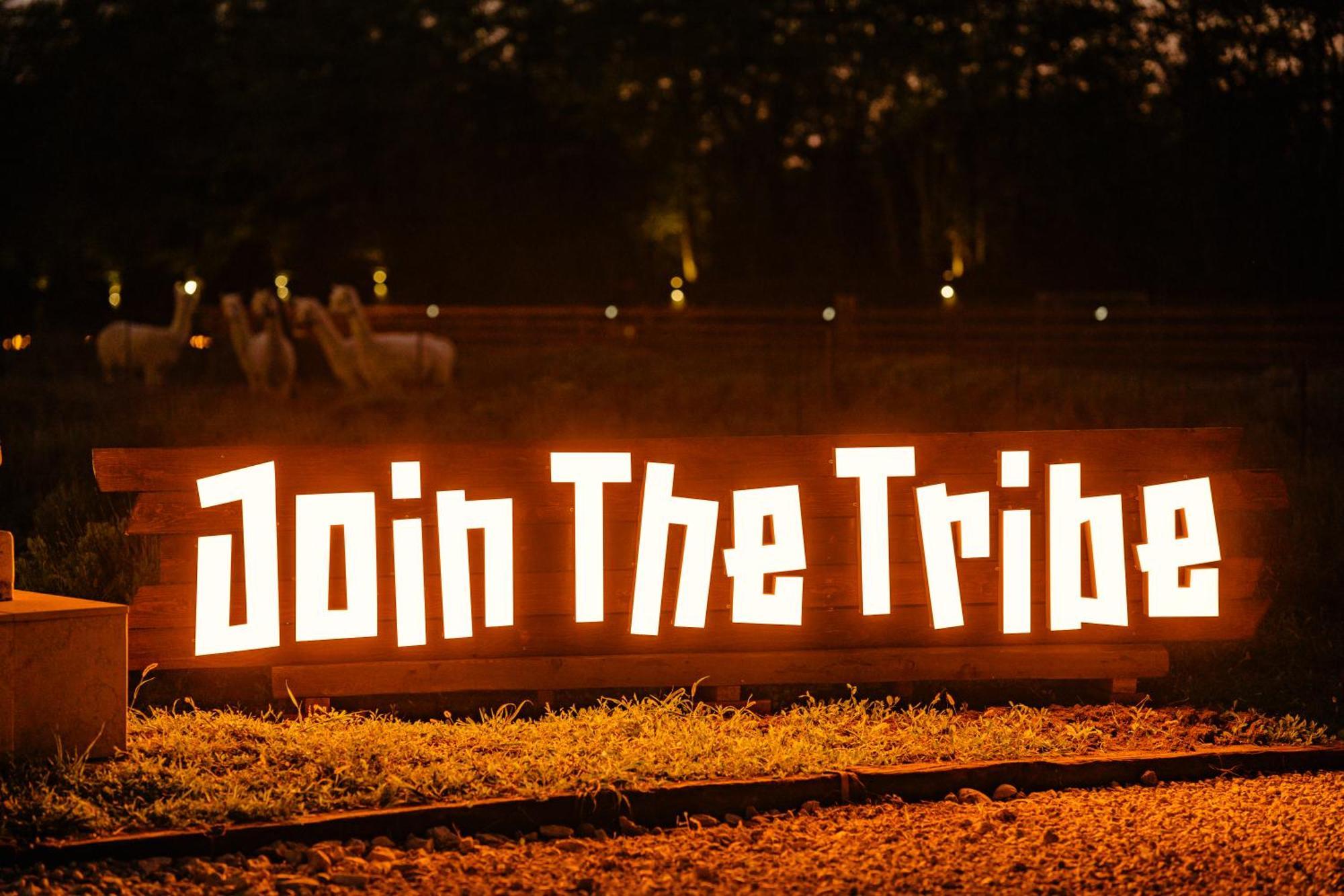 The Tribe Alpaca Retreat Ξενοδοχείο Branesti Εξωτερικό φωτογραφία