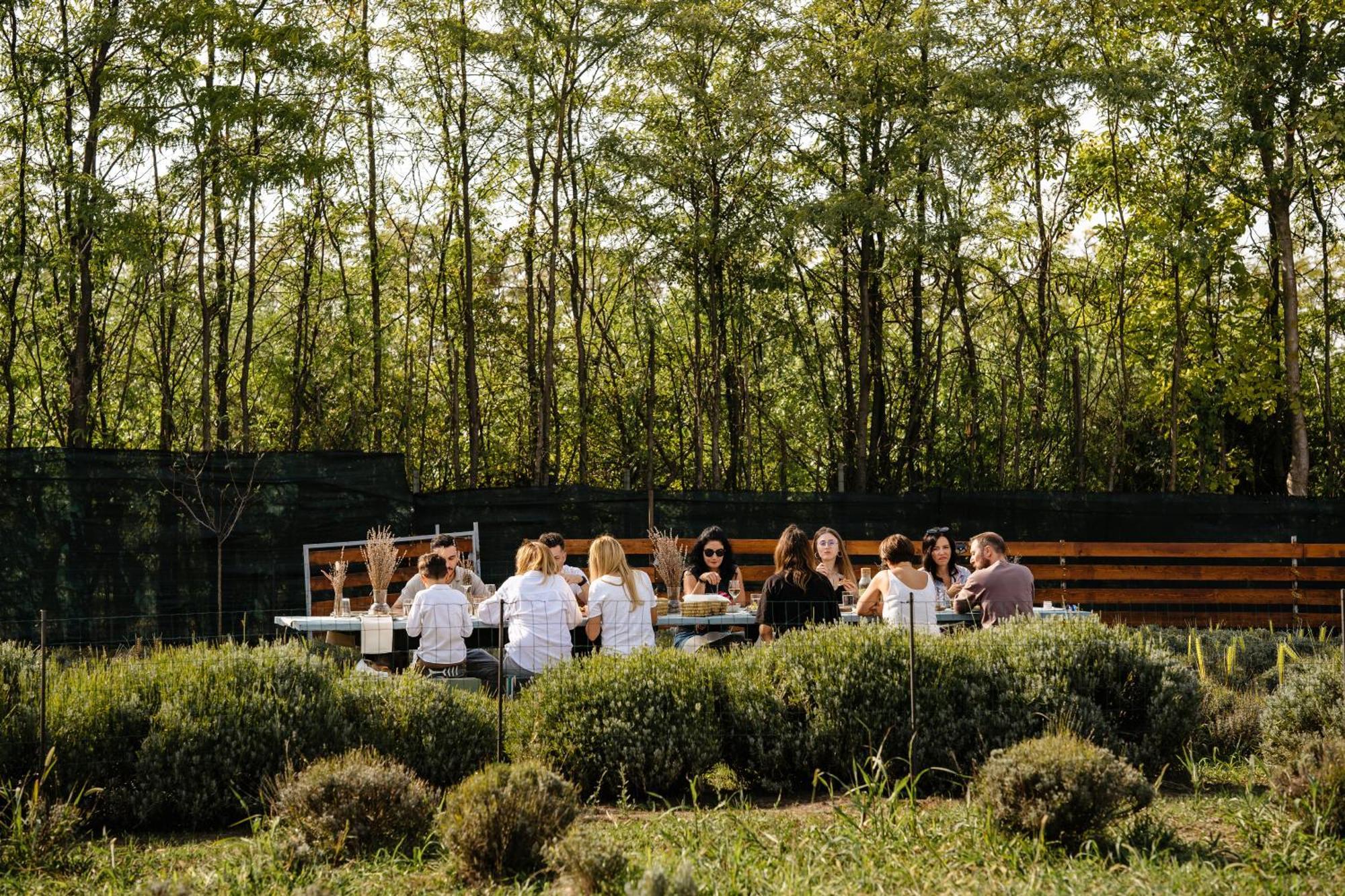 The Tribe Alpaca Retreat Ξενοδοχείο Branesti Εξωτερικό φωτογραφία