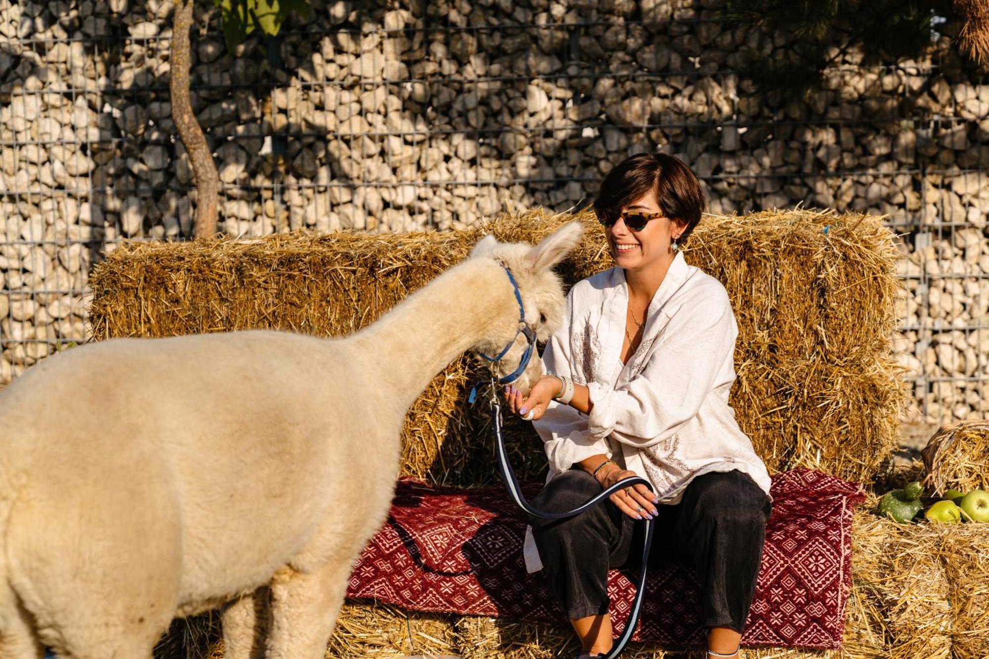The Tribe Alpaca Retreat Ξενοδοχείο Branesti Εξωτερικό φωτογραφία
