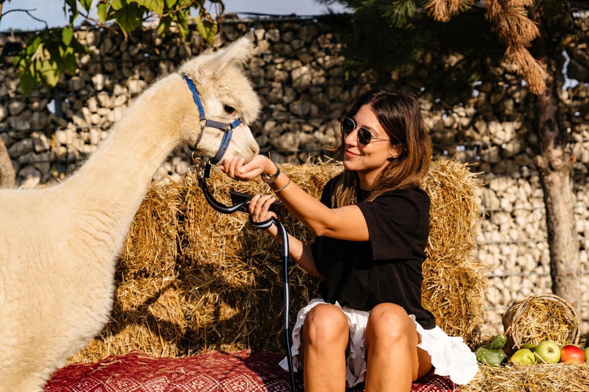 The Tribe Alpaca Retreat Ξενοδοχείο Branesti Εξωτερικό φωτογραφία